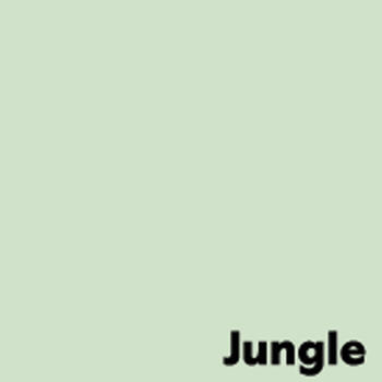 Krāsains papīrs IMAGE COLORACTION, A4, 80 gsm, 500 loksnes, JUNGLE / PALE GREEN (100-10147)