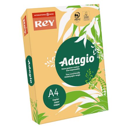 Krāsains papīrs REY ADAGIO 80g/m2, A4 500 loksnes/iepak., bēša krāsa (Beige) (Nr.98) (100-05958)