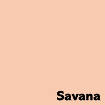 Krāsains papīrs IMAGE COLORACTION, A4, 80 gsm, 500 loksnes, SAVANA / PALE SALMON (100-10569)