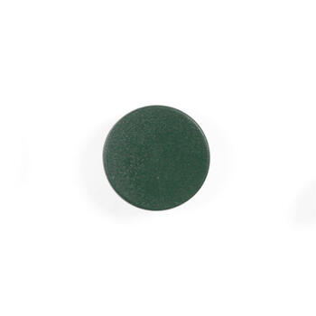 Tāfeles magnēti BI-OFFICE 30 mm, 10 gab., zaļā krāsā (250-07558)