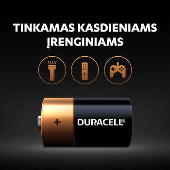 Baterija DURACELL Basic C, LR14, 2 gab./iepak. (250-05842)