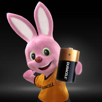 Baterija Duracell D Basic, LR20, 2 gab./iepak. (250-01284)