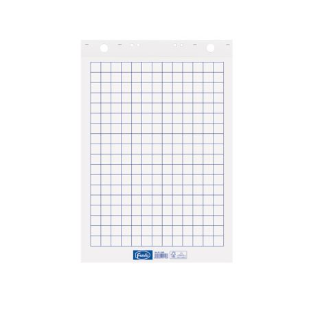 Papīra bloks FOROFIS 600x850 mm 50lp,  rūtiņu (100-10903)
