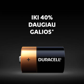 Baterija Duracell D Basic, LR20, 2 gab./iepak. (250-01284)