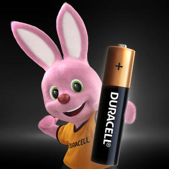 Baterija DURACELL Basic AAA, LR03 2 gab./iepak. (250-00399)