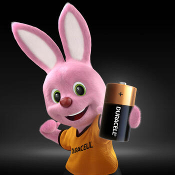 Baterija DURACELL Basic C, LR14, 2 gab./iepak. (250-05842)