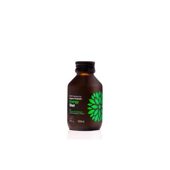 Atsvaidzinošs tējas dzēriens VIGO Kombucha, Energy shot, 0.1l (450-16116)