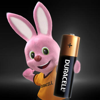 Baterijas DURACELL AA, LR6, 2 gab. (250-00407)