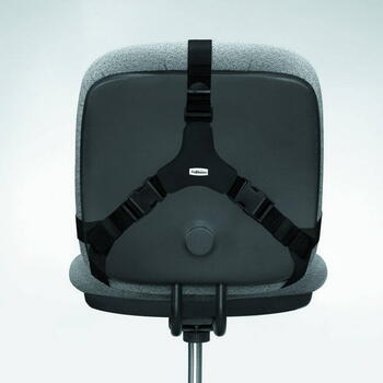 Muguras atbalsts FELLOWES Pro (250-03191)