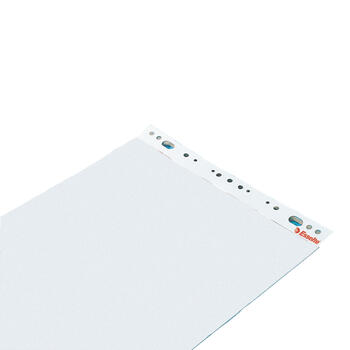 Papīra bloks ESSELTE, 60 x 85 cm, 50 lapas, pelēka (100-00307)