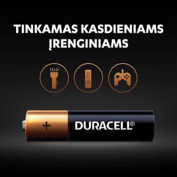 Baterija DURACELL Basic AAA, LR03 2 gab./iepak. (250-00399)