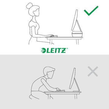 Regulējams monitora paliktnis Leitz Ergo gaiši pelēks (250-08615)