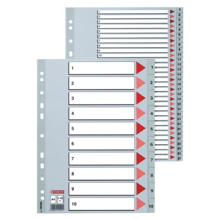 Sadalītājs dokumentiem Esselte A4 formāts, 1-12, plastikāta (150-00246)