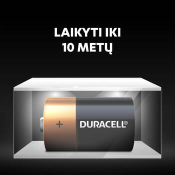 Baterija Duracell D Basic, LR20, 2 gab./iepak. (250-01284)