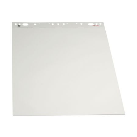 Papīra bloks ESSELTE, 60 x 85 cm, 50 lapas, pelēka (100-00307)