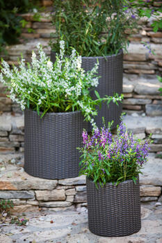Puķu podu komplekts Cylinder Planters S+M+L pelēks (29197934939)