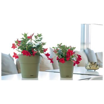 Puķu pods ar paliktni Ethica Ø40x39cm zaļš (2168452)