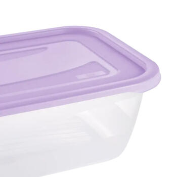 Pārtikas trauciņu komplekts taisnstūrveida 2x3,3L Fredo „Fresh“ caurspīdīgs/maigi violets (0630680525)