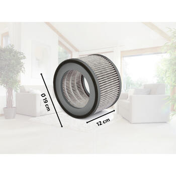 Filtrs AirFresh Clean 300 (1068106)