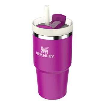 Термокружка с трубочкой The Quencher H2.O FlowState Tumbler 0.59L фиолетовая (2810826362)