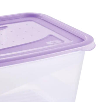Pārtikas trauciņu komplekts taisnstūrveida 2x2L Fredo „Fresh“ caurspīdīgs/maigi violets (0630676525)