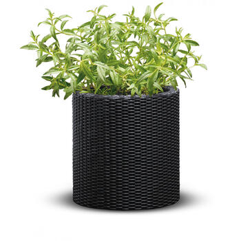 Горшок для цветов Small Cylinder Planter серый (29197833939)