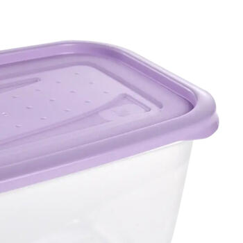 Pārtikas trauciņu komplekts taisnstūrveida 4x0,75L Fredo „Fresh“ caurspīdīgs/maigi violets (0630673525)