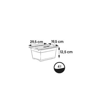 Kaste ar vāku crystalbox Cornelia 29,5x19,5x12,5cm 4L caurspīdīga (0610940001)