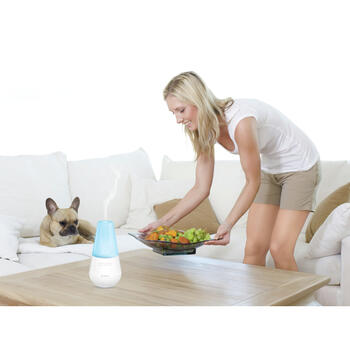 Gaisa aromatizētājs Valencia (1068025)