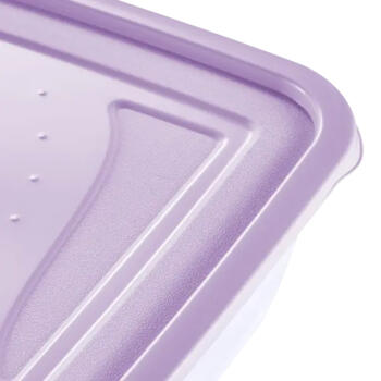 Pārtikas trauciņu komplekts taisnstūrveida  3x1,25L Fredo &bdquo;Fresh&ldquo; caurspīdīgs/maigi violets (0630675525)