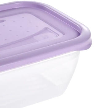 Pārtikas trauciņu komplekts taisnstūrveida 5x0,5L Fredo „Fresh“ caurspīdīgs/maigi violets (0630672525)