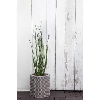 Puķu pods Small Cylinder Planter gaiši pelēks (29197833)