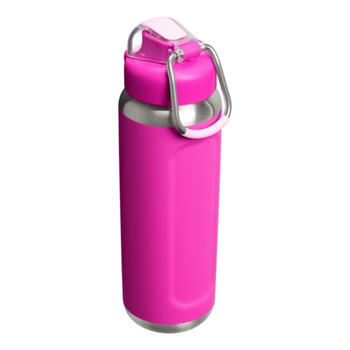Термос Stanley Wellspring Bottle 0.71L, фиолетовый (2813111034)