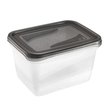 Pārtikas trauciņu komplekts taisnstūrveida  2x2L Fredo &bdquo;Fresh&ldquo; caurspīdīgs/kristāla pelēks (0630676827)