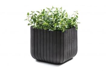 Горшок для цветов Cube Planter S серый (29202066939)
