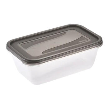 Pārtikas trauciņu komplekts taisnstūrveida 3x2,4L Fredo „Fresh“ caurspīdīgs/kristāla pelēks (0630680827)