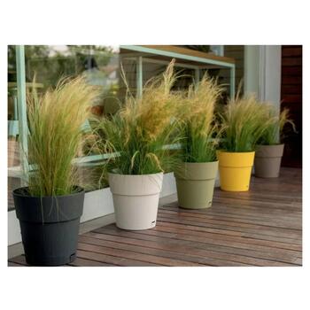 Puķu pods ar paliktni Ethica &Oslash;40x39cm pelēks (2168451)