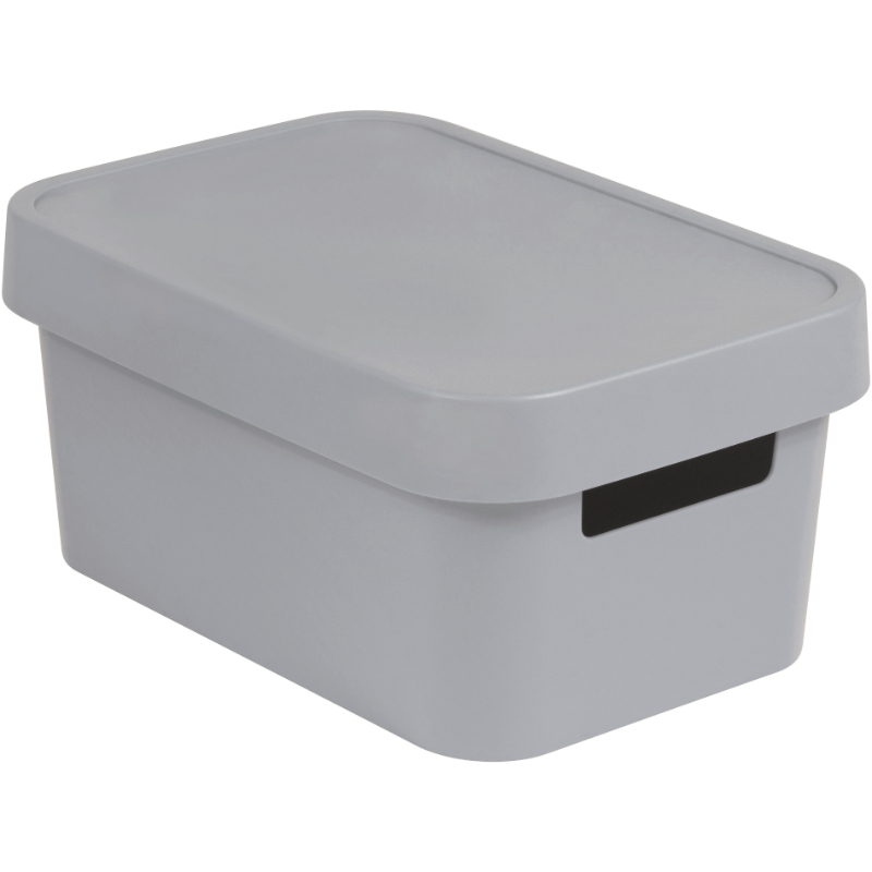 Ящик с крышкой Infinity Recycled 4,5л 27x19x12cм серый (0804746099)
