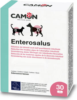 CAMON Enterosalus таблетки при проблемах с пищеварением и диарее (30 таблеток) (G889)