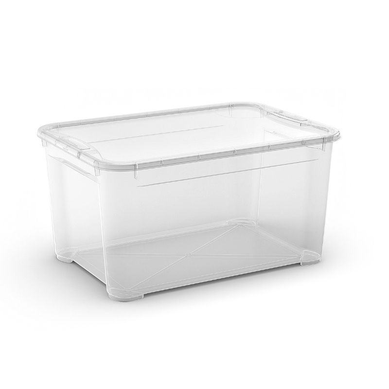 CURVER Kaste ar vāku T Box