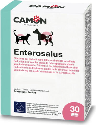 CAMON Enterosalus таблетки при проблемах с пищеварением и диарее (30 таблеток) (G889)
