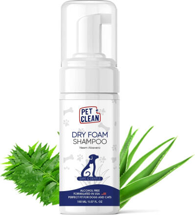 DRY FOAM SHAMPOO NEEM ALOEVERA 150ml (PCDFSNAV150)